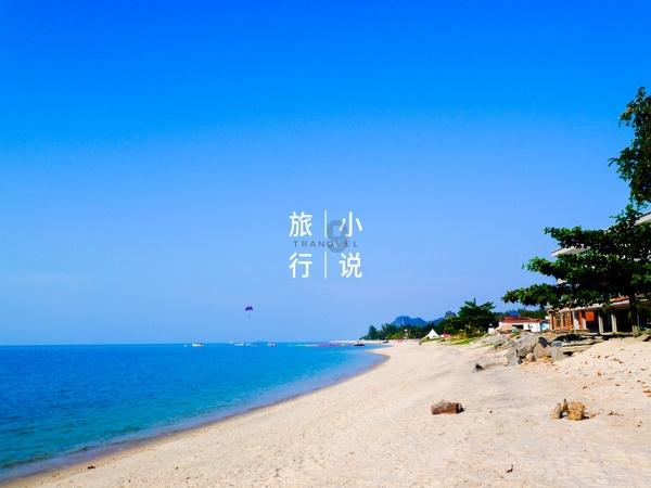 小猫钓鱼游戏龙王版有船