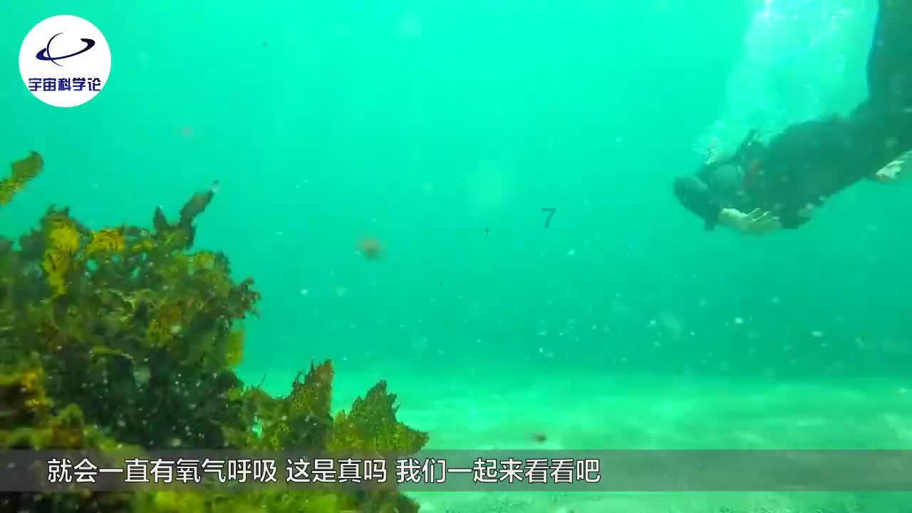 在职MBA研究生，如何经营人脉圈？