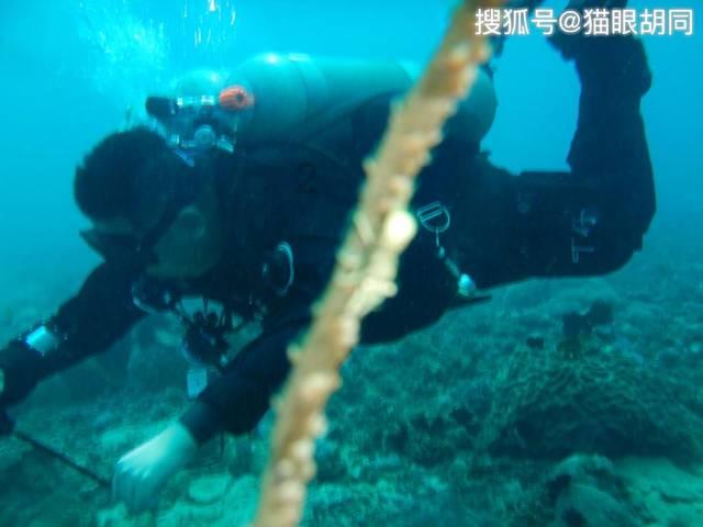 我的太空旅行