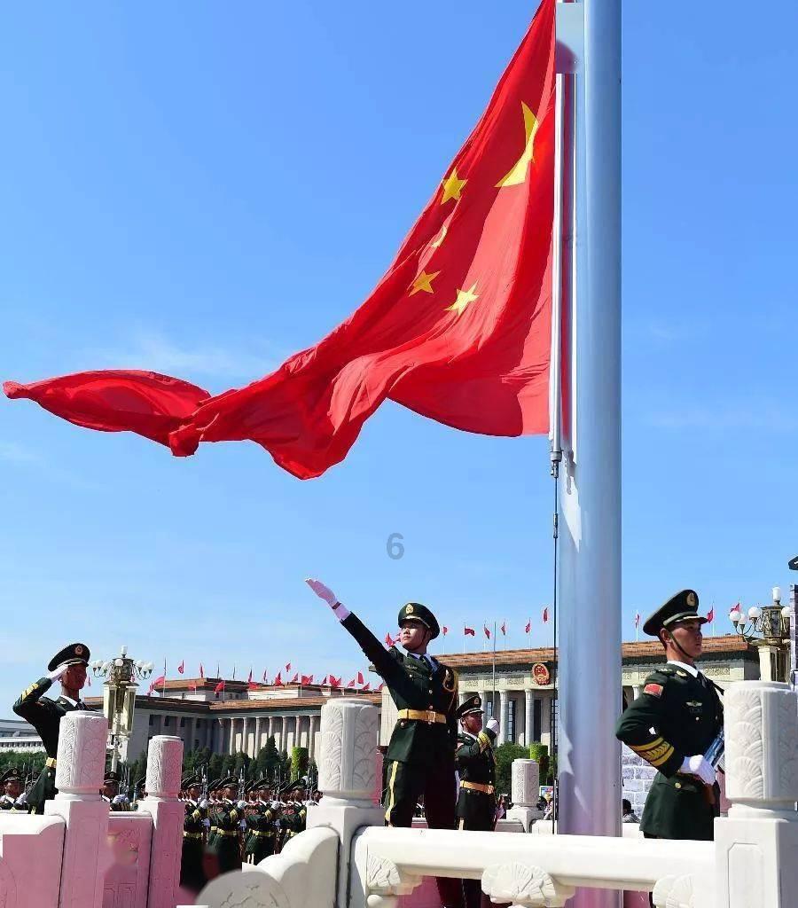 营救小乌龟